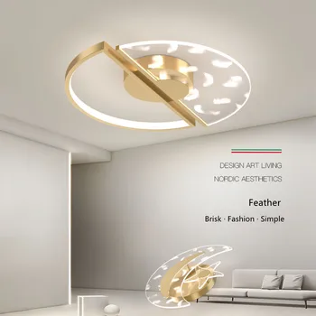 Moderné Luxusné Stropné Svetlá LED pre Spálne, Obývacia Izba Také Pierko Akryl Svetlá Zariadenie Domova Lampa pre Spálne